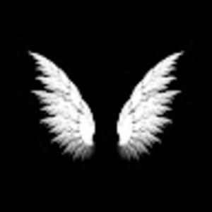 Meet your Posher, Radiox